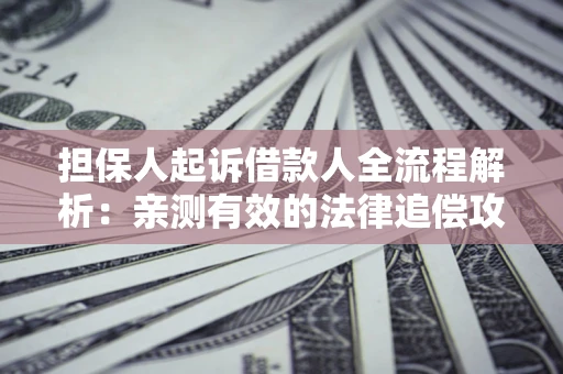 济南担保人起诉借款人全流程解析：亲测有效的法律追偿攻略