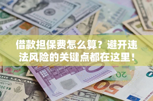 济南借款担保费怎么算？避开违法风险的关键点都在这里！