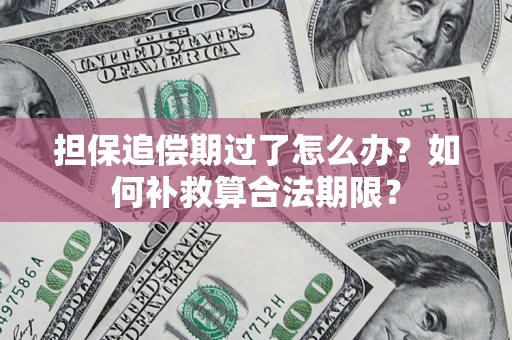 济南担保追偿期过了怎么办？如何补救算合法期限？
