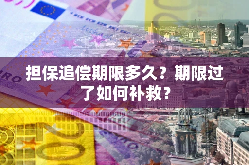 济南担保追偿期限多久？期限过了如何补救？