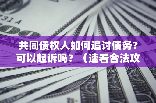 济南共同债权人如何追讨债务？可以起诉吗？（速看合法攻略）