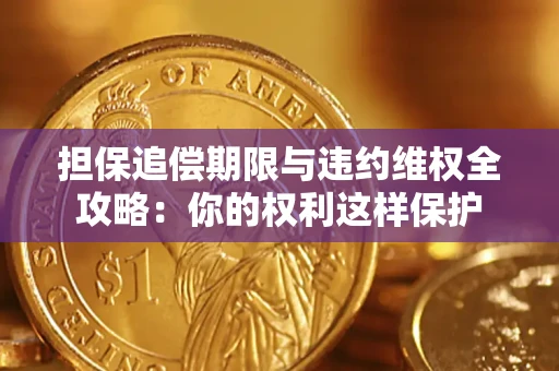 济南担保追偿期限与违约维权全攻略：你的权利这样保护