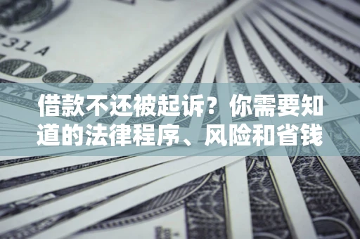 济南借款不还被起诉？你需要知道的法律程序、风险和省钱技巧