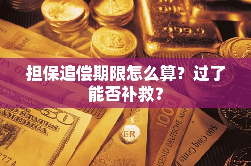 济南担保追偿期限怎么算？过了能否补救？